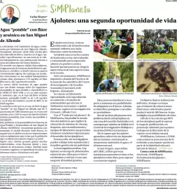 Catálogo Farmacias Similares Página 2