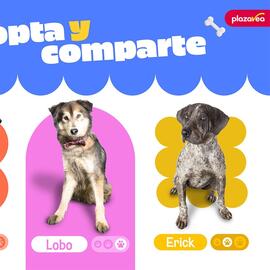 Catálogo Plaza Vea Página 3