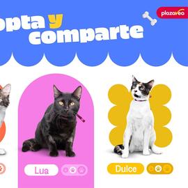 Catálogo Plaza Vea Página 5