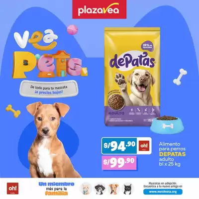Catálogo Plaza Vea (válido hasta 1-02)