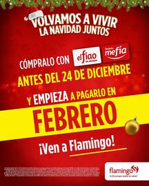 Catálogo Flamingo Página 6