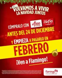 Catálogo Flamingo Página 6