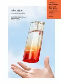 Catálogo Yanbal Página 91