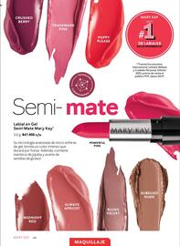 Catálogo Mary Kay Página 64