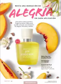 Catálogo Mary Kay Página 125