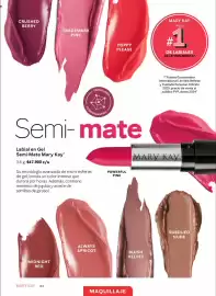 Catálogo Mary Kay Página 64