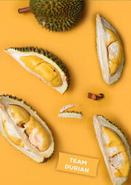 Amazing Oriëntal folder Pagina 17