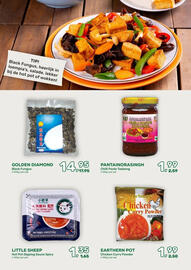 Amazing Oriëntal folder Pagina 39