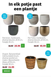 Intratuin folder week 2 Pagina 15