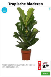 Intratuin folder week 2 Pagina 2