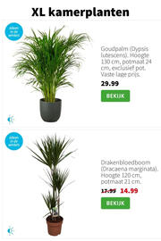 Intratuin folder week 2 Pagina 3