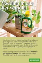 Intratuin folder week 2 Pagina 4