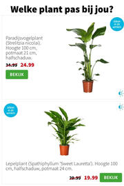 Intratuin folder week 2 Pagina 5