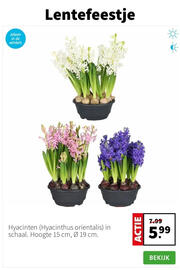 Intratuin folder week 2 Pagina 7