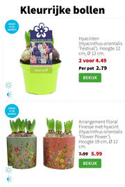 Intratuin folder week 2 Pagina 8