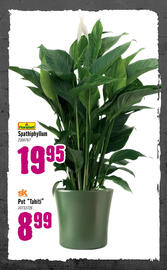 Hornbach folder Pagina 74