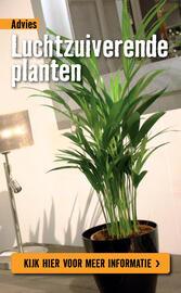 Hornbach folder Pagina 79