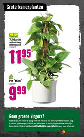 Hornbach folder Pagina 80