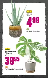 Hornbach folder Pagina 71