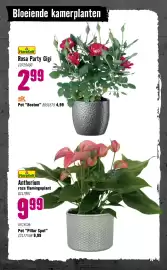 Hornbach folder Pagina 72