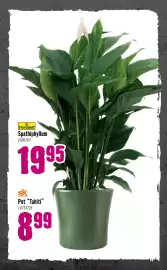 Hornbach folder Pagina 74