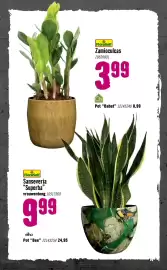 Hornbach folder Pagina 77