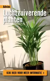 Hornbach folder Pagina 79