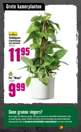 Hornbach folder Pagina 80