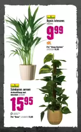 Hornbach folder Pagina 81