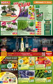 Norma Prospekt woche 3 Seite 14