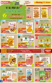 Norma Prospekt woche 3 Seite 10