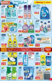 Norma Prospekt woche 3 Seite 11