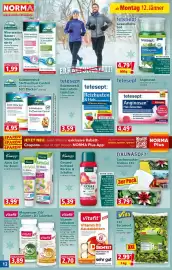 Norma Prospekt woche 3 Seite 12