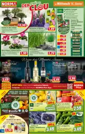 Norma Prospekt woche 3 Seite 14