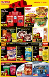 Norma Prospekt woche 3 Seite 9