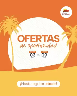 Catálogo El Milagro Mayorista (válido hasta 9-01)