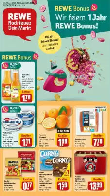 REWE Prospekt (gültig bis 11-01)