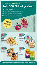 Nahkauf Prospekt woche 2 Seite 2