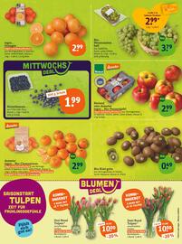 Tegut Prospekt woche 2 Seite 5