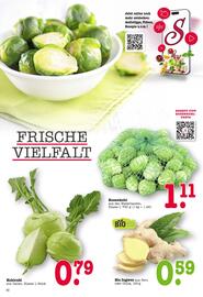 Scheck-in-Center Prospekt woche 2 Seite 5