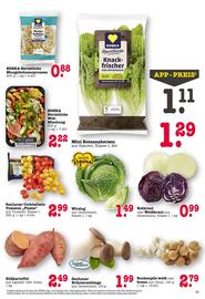 Scheck-in-Center Prospekt woche 2 Seite 6