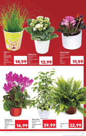 Catalog Kaufland săptămâna 2 Pagină 23