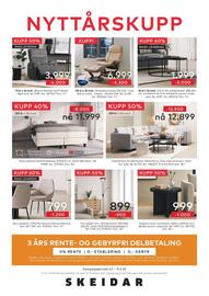 Skeidar kundeavis uke 2 Side 8