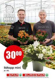 Eurospar kundeavis uke 2 Side 19