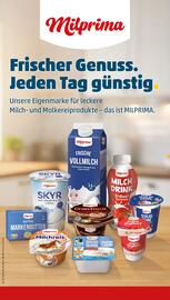 PENNY DE folder week 2 Pagina 12