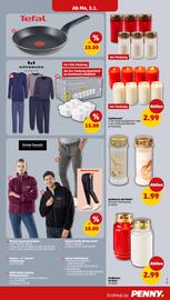 PENNY DE folder week 2 Pagina 31