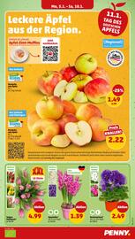 PENNY DE folder week 2 Pagina 5