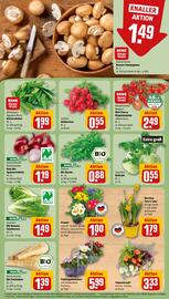 REWE City Prospekt woche 2 Seite 9