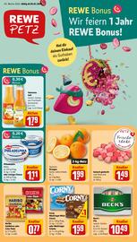 REWE PETZ Prospekt woche 2 Seite 1