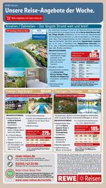 REWE PETZ Prospekt woche 2 Seite 28